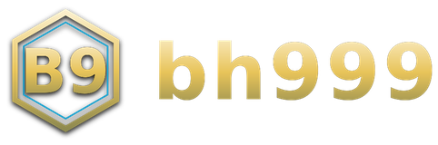 bh999 logo